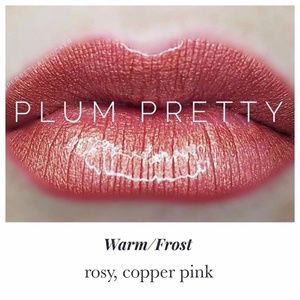 Plum Pretty Official Make Up of Miss USA